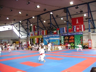 Image description